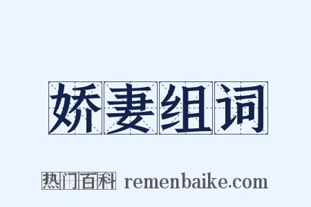 娇妻组词是什么意思的图片